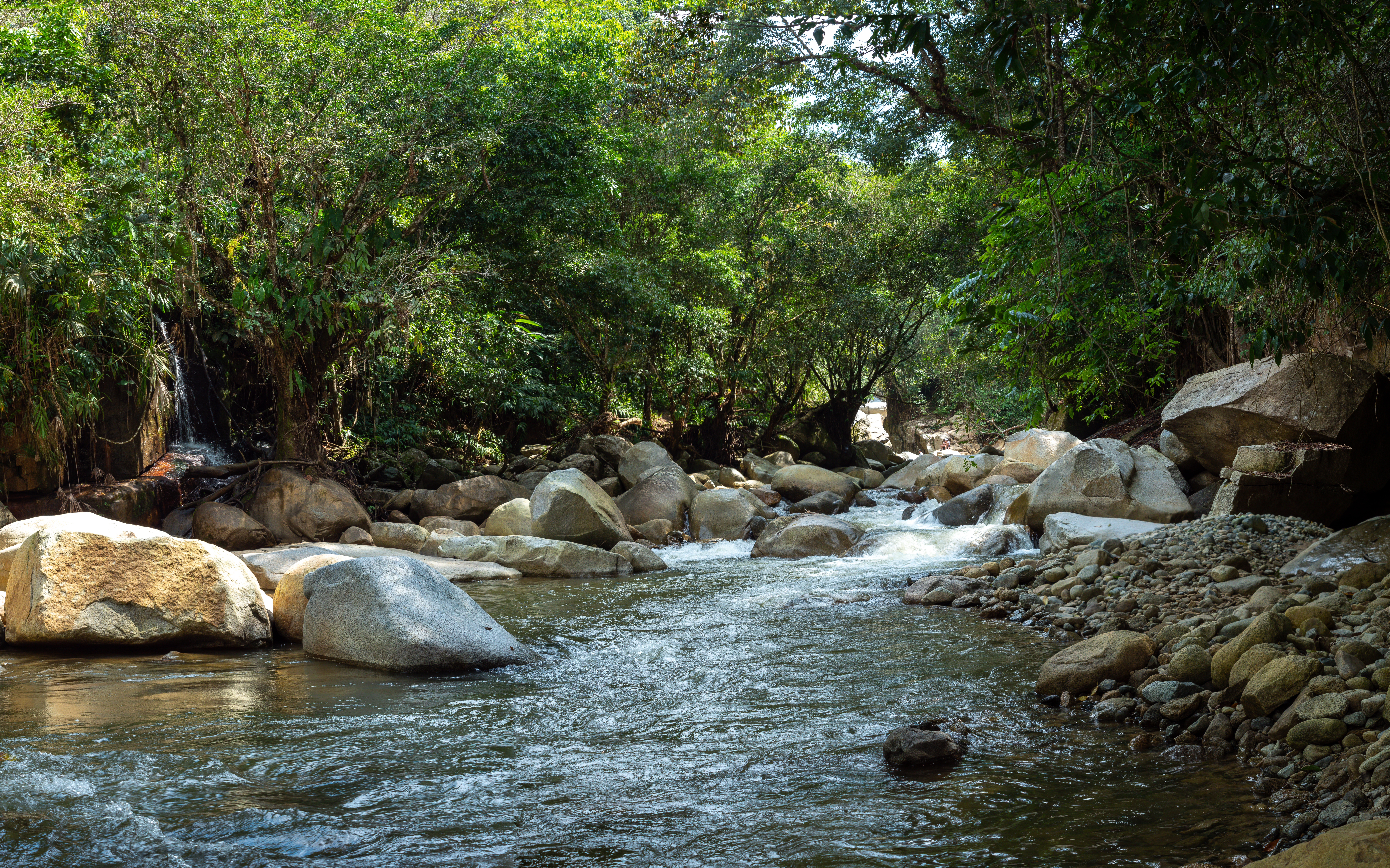Un llamado desde Medellín para enfrentar los desafíos en torno al agua y la energía