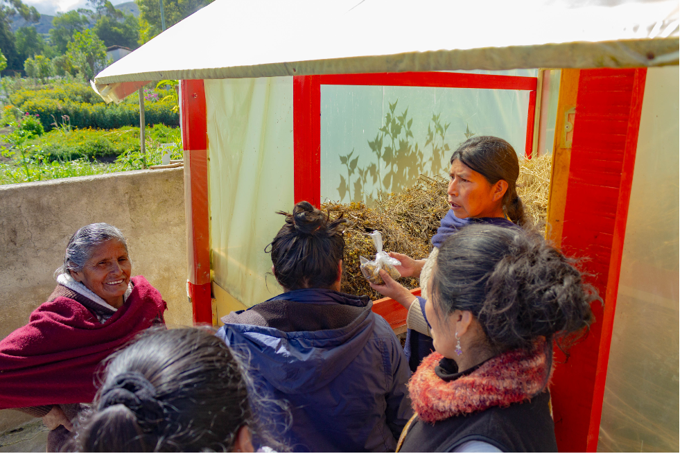 Se realizó un intercambio de saberes entre los viveristas de Nariño, Valle del Cauca, Boyacá y Cundinamarca para establecer protocolos que les permitan realizar procesos de propagación de plantas nativas de páramo.