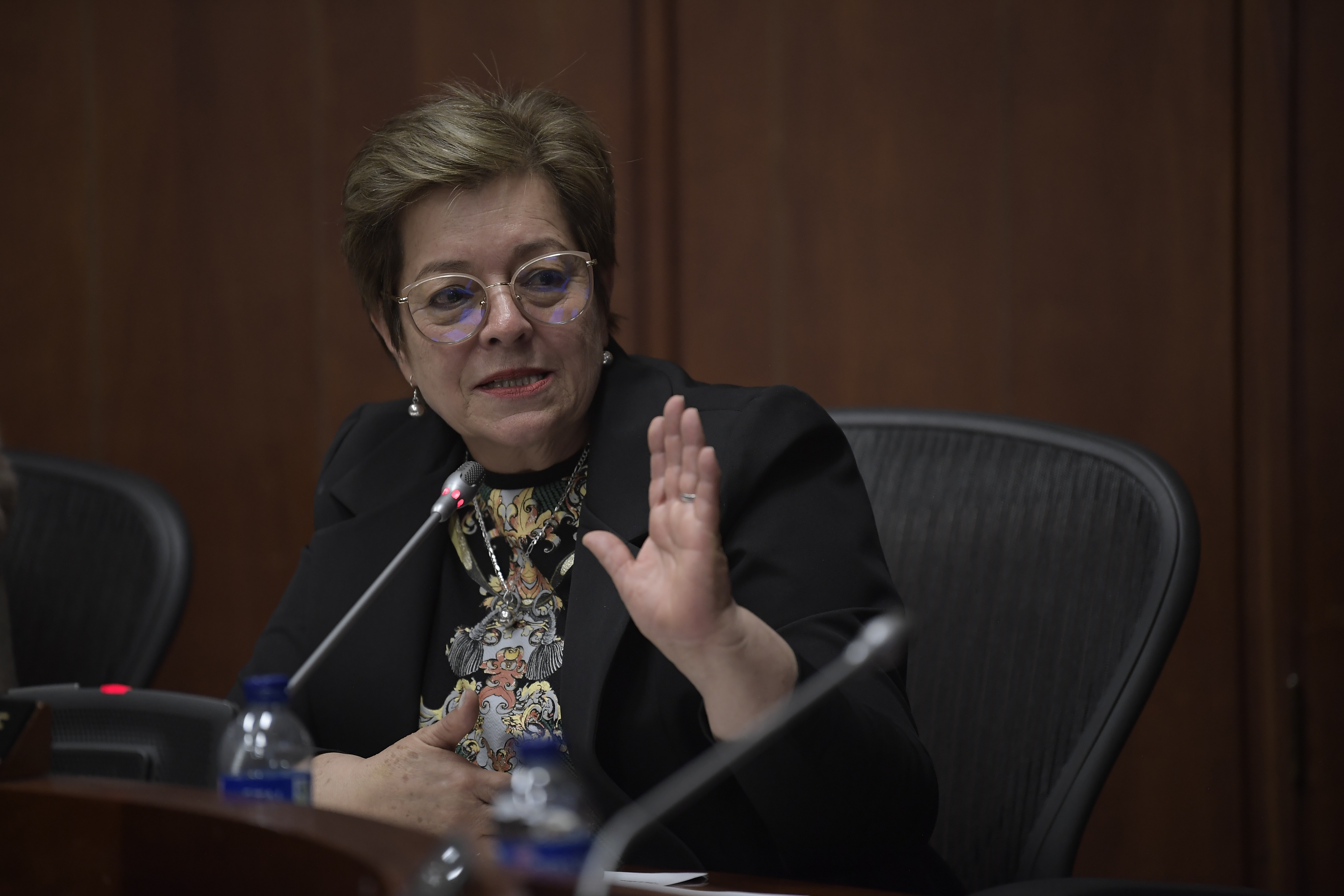 “El Gobierno está con toda su energía por la reforma pensional”: ministra de Trabajo