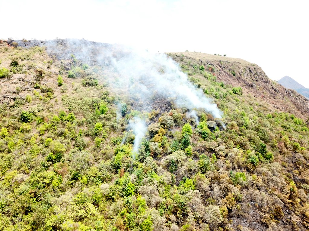 Pasadas las 6:00 p.m. del viernes 12 de septiembre, el cuerpo de bomberos voluntarios del municipio de Nilo, recibió un reporte por un incendio forestal que estaba consumiendo un cerro en zona rural del municipio, puntualmente en la vereda Los Curos, en un sector conocido como Las Flores.