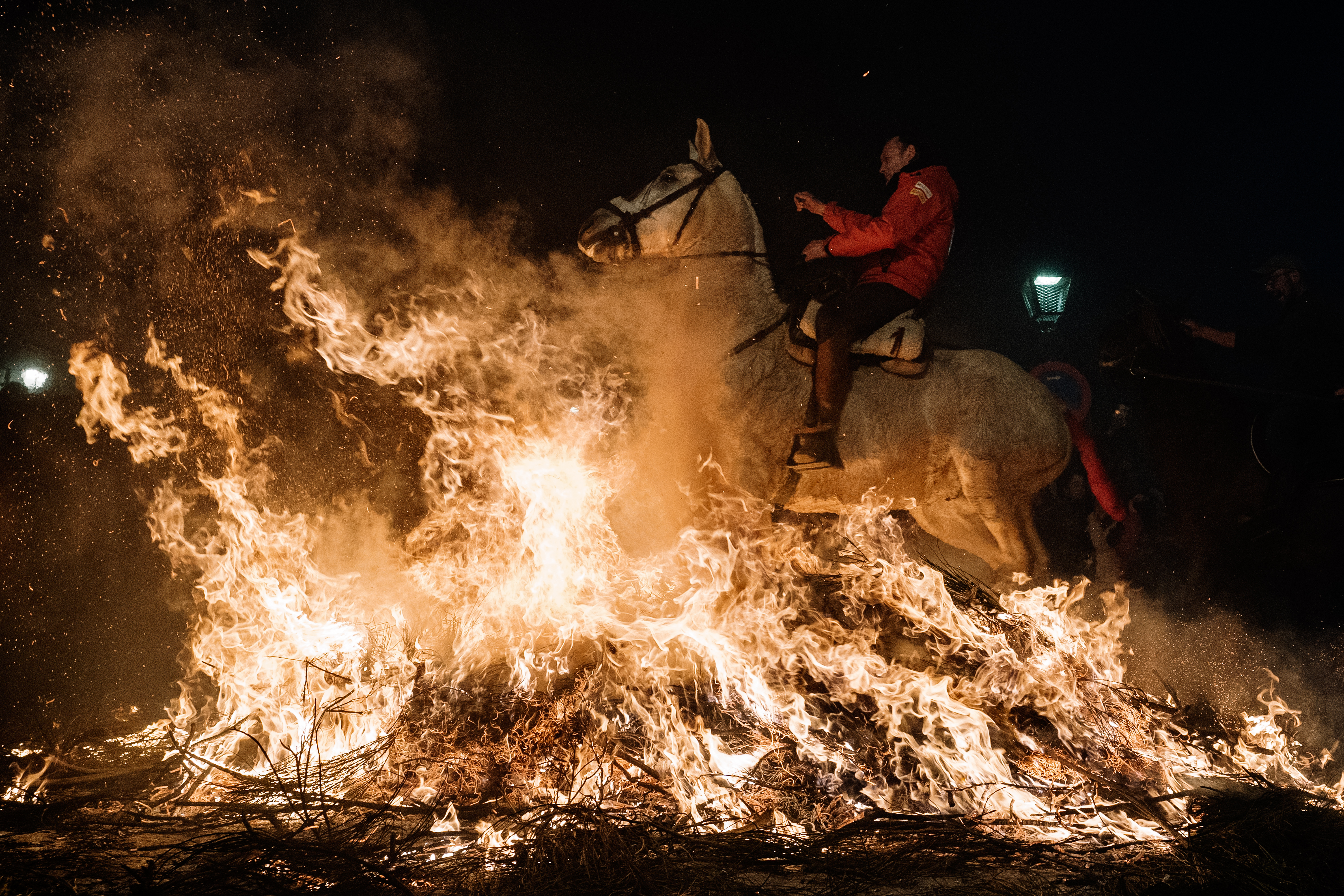 En Fotos: Las Luminarias, otro ejemplo de maltrato animal