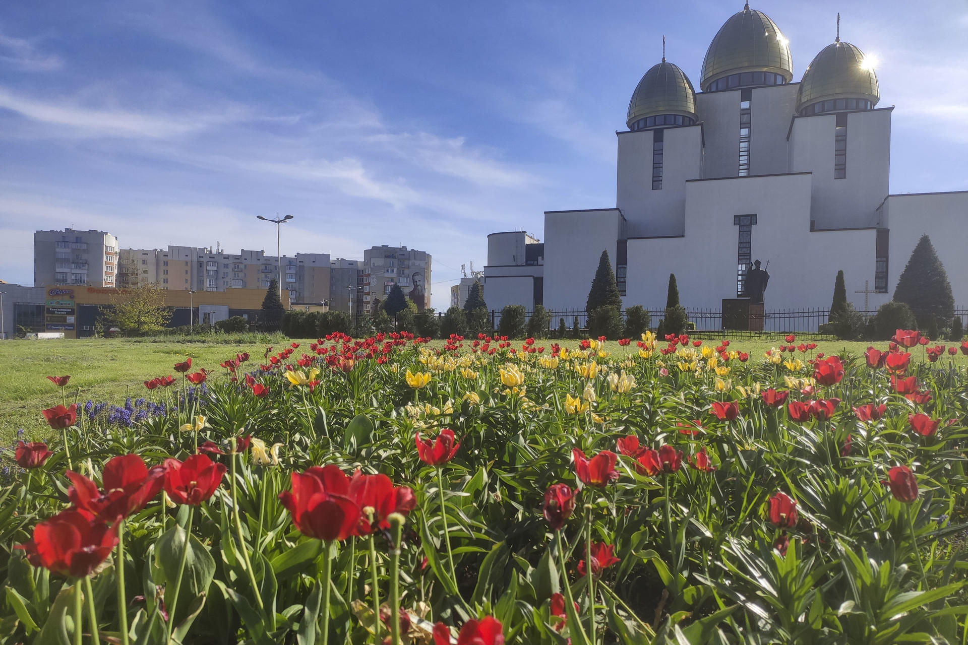 Tulipanes y lilas: en esta ciudad las plantas ayudan a sobrellevar la guerra