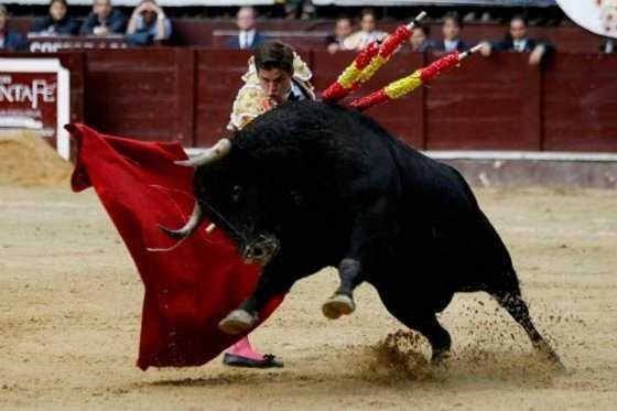 ¿Qué piensan los bogotanos de las corridas de toros?