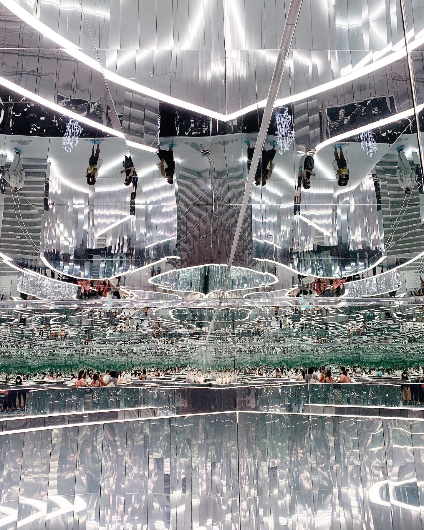 Entre los Estados Vivos y No Vivos fue creado por un colectivo artístico llamado teamLab, la intención de obras como esta es explorar la relación entre el individuo y el mundo que lo rodea.