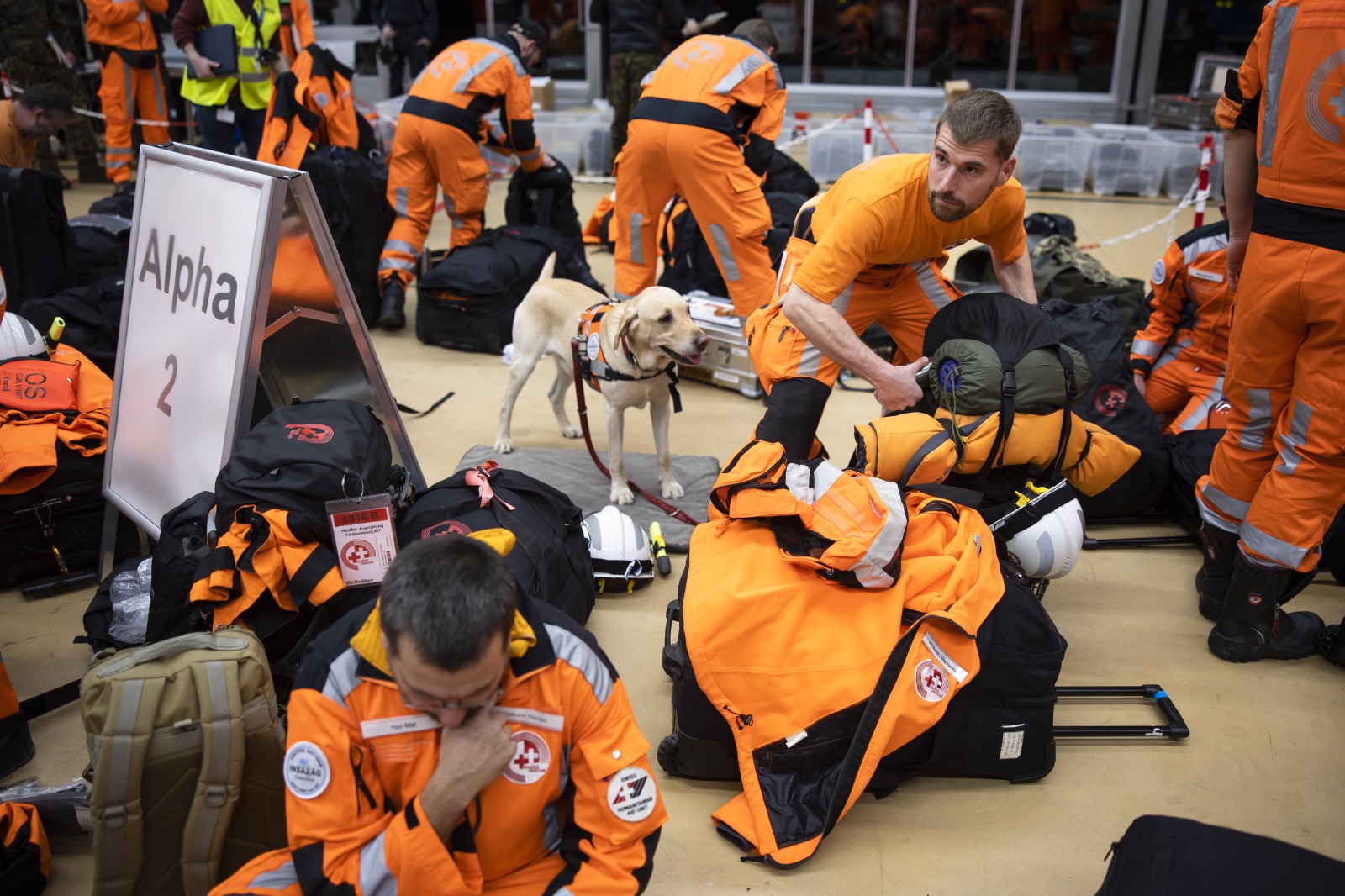 En diferentes operaciones de rescate alrededor del mundo se han utilizado perros de rescate. Algunos ejemplos son el terremoto en Puebla, México, durante 2017, y el terremoto en Haití, durante 2010.