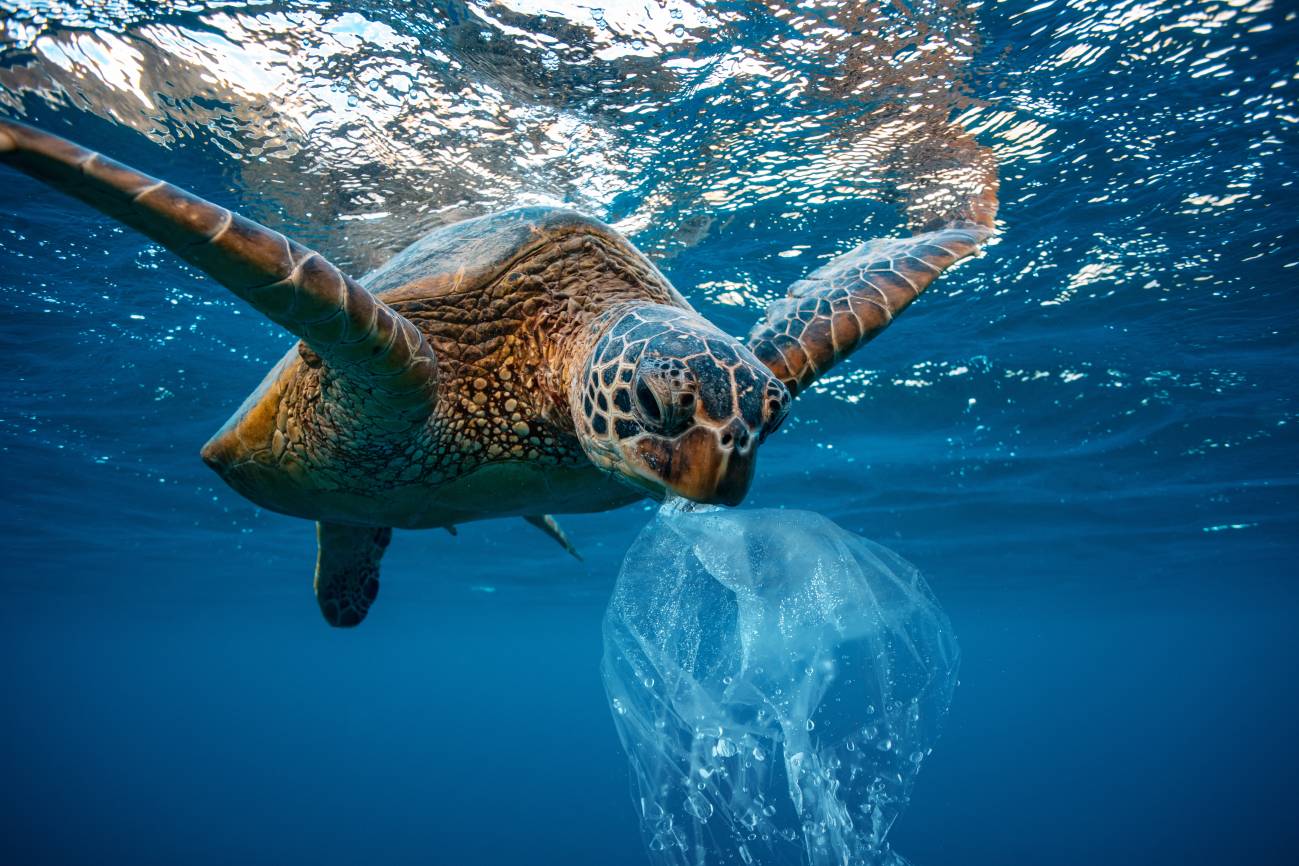 El oceáno Atlántico tiene más microplásticos que los que se creía