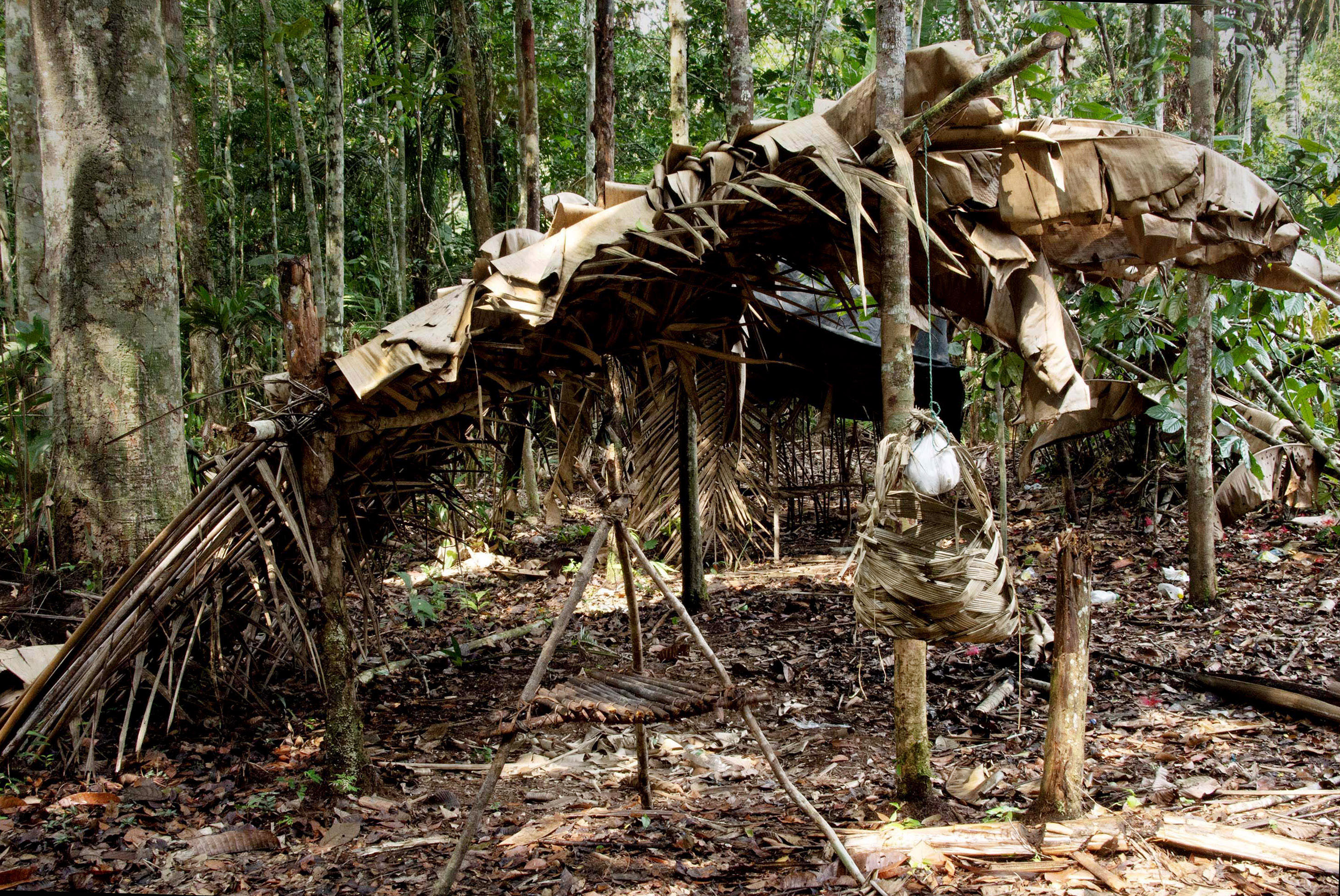La lucha de una familia nukak por restaurar la Amazonia