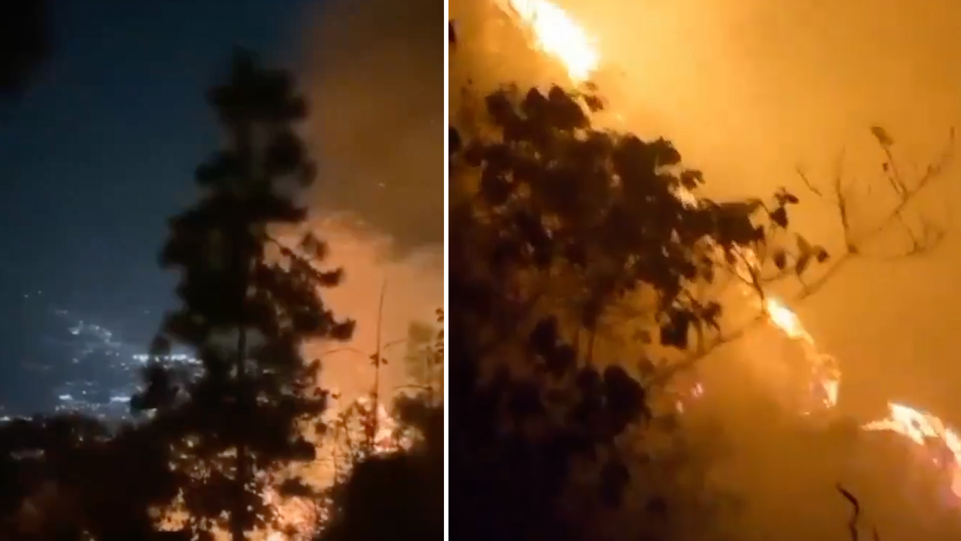 Incendio forestal en Santander: cerca de 50 hectáreas han resultado afectadas