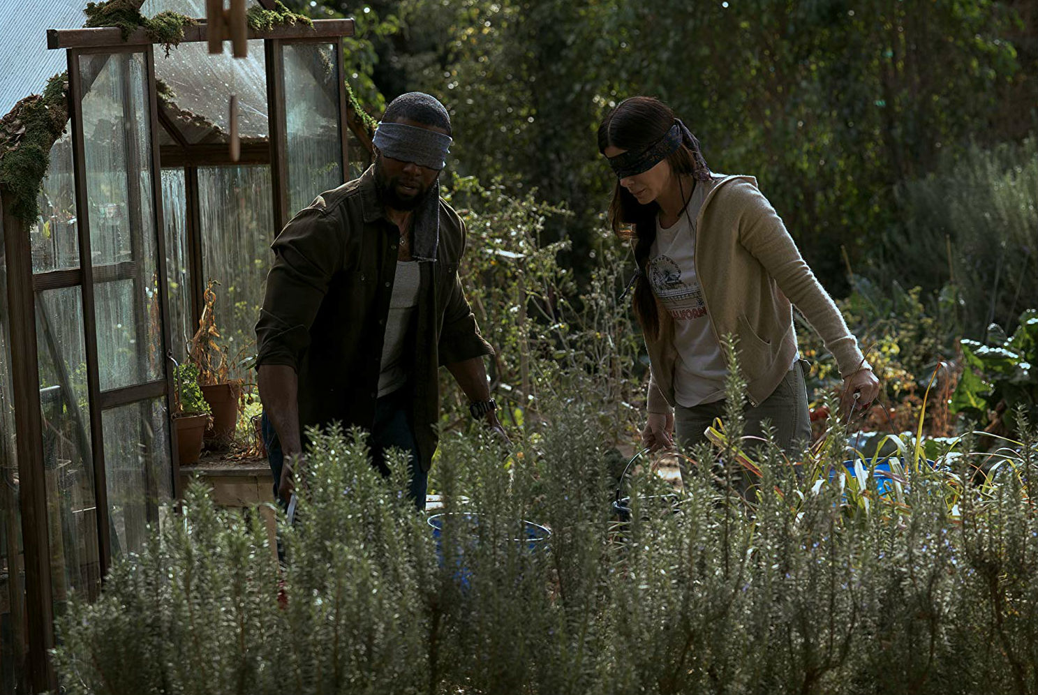 Canadá, consternada por uso de imágenes de accidente de la vida real en película «Bird Box»