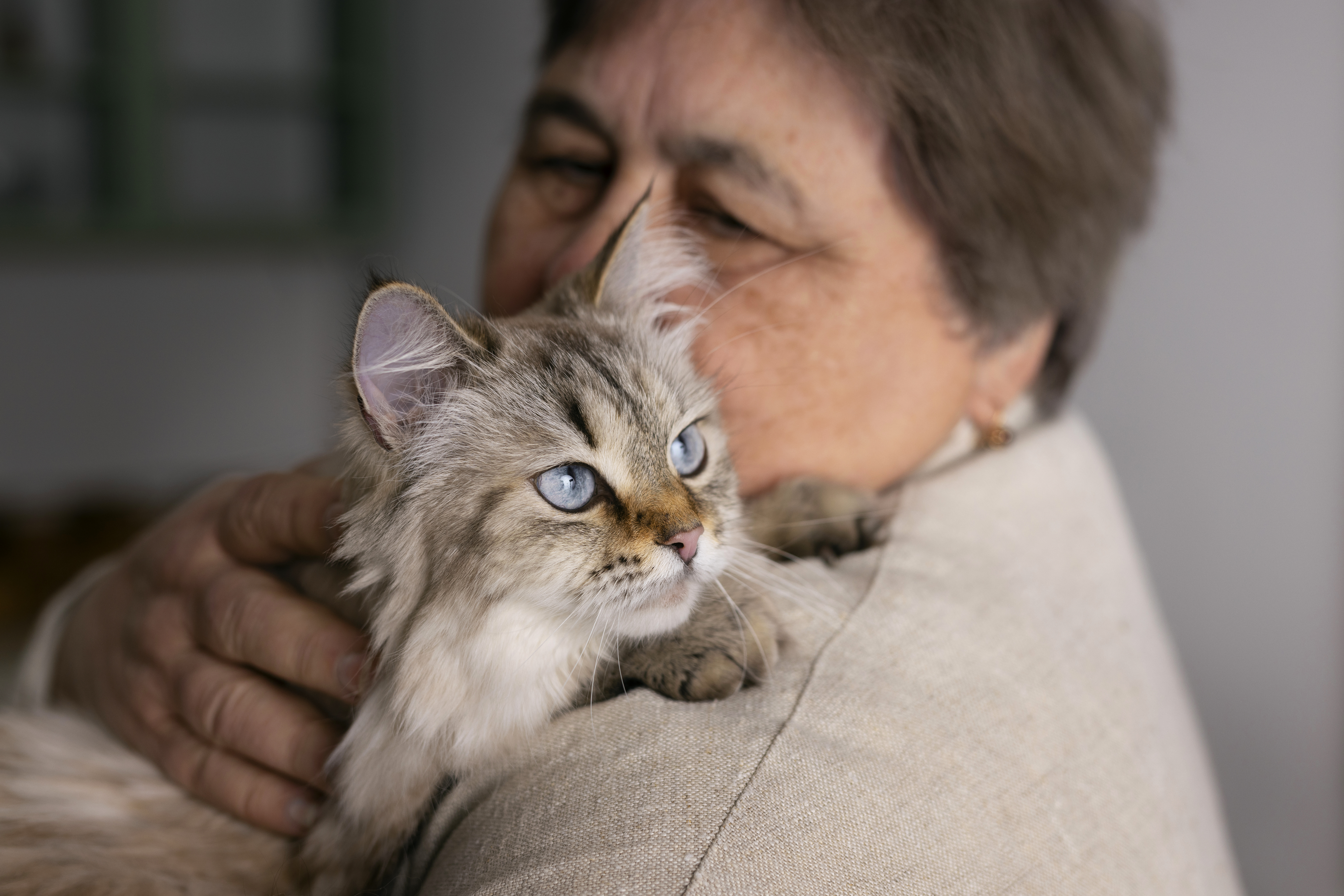¿Por qué algunos gatos odian los abrazos?