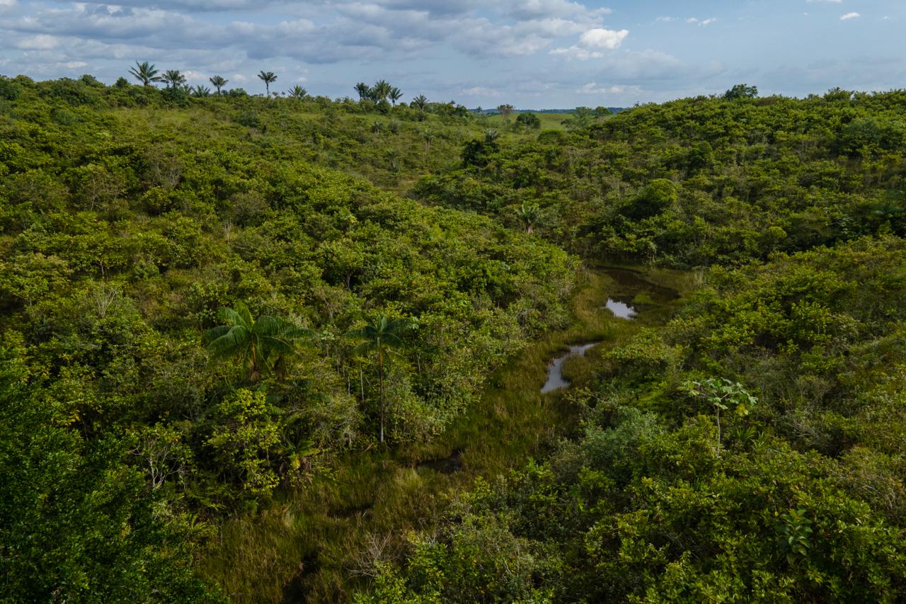 Las decisiones de “photofinish” que sacó el Minambiente durante el último día del gobierno