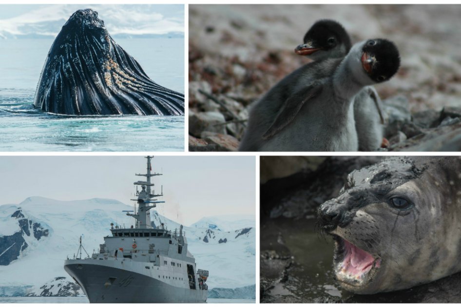Las fotografías de la tercera expedición de Colombia en la Antártida