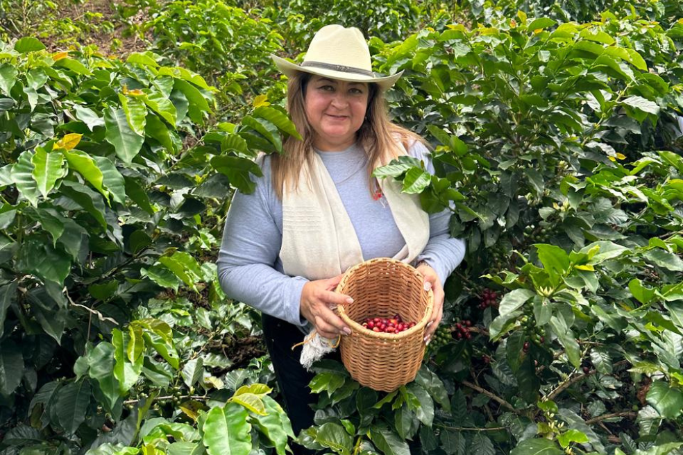 Según la Federación Nacional de Cafeteros, 687.824 mujeres en Colombia viven en hogares caficultores.