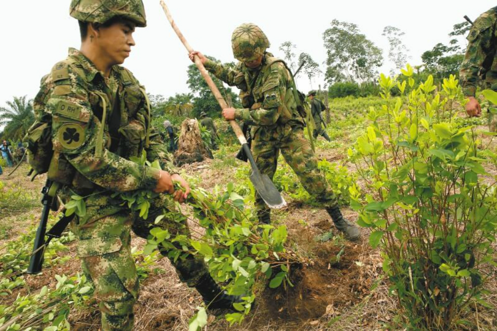 Campesinos en el sur de Meta denuncian abusos militares durante procesos de erradicación