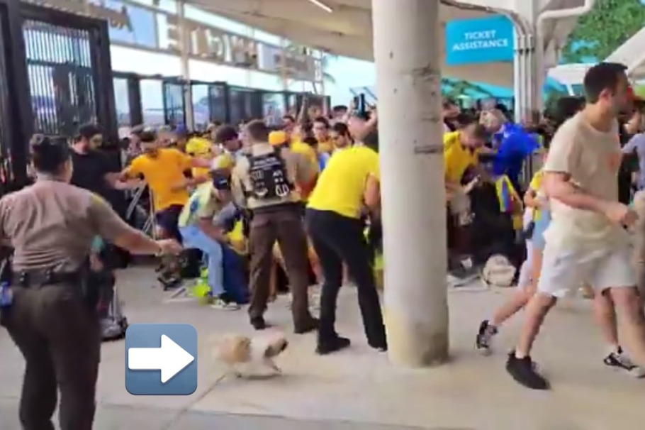 Fotos: hincha colombiano aprovechó caos en la Copa América y entró un perrito