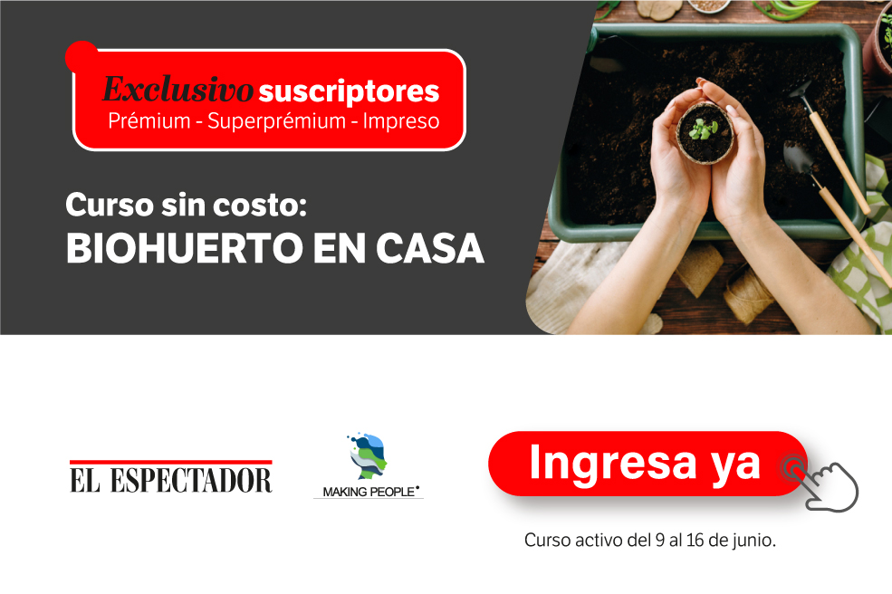 Curso: Biohuerto en casa