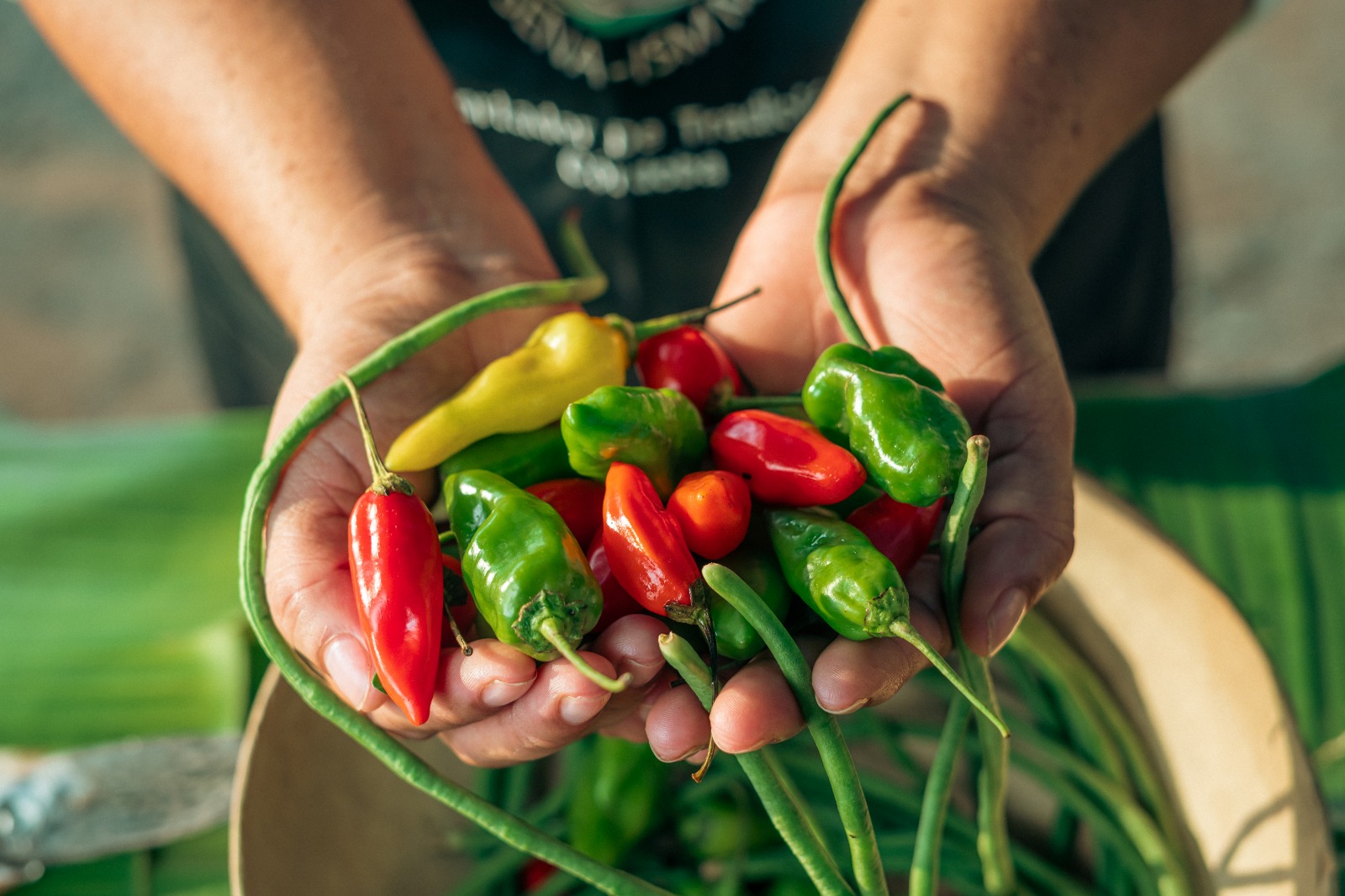 Cocinas Campesinas de Córdoba