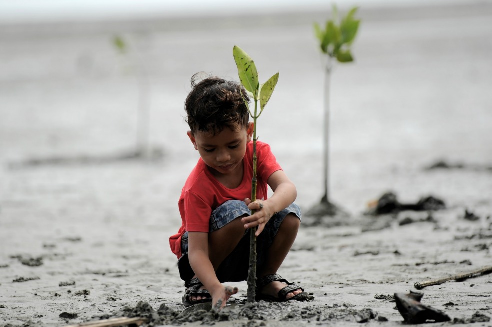 Seis historias que le enseñan a los niños la importancia del Día de la tierra
