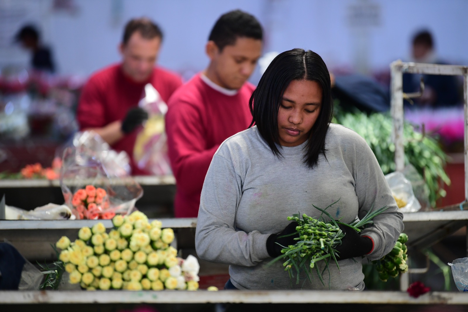 Fortalecer la autonomía económica: un paso decisivo contra la violencia de género