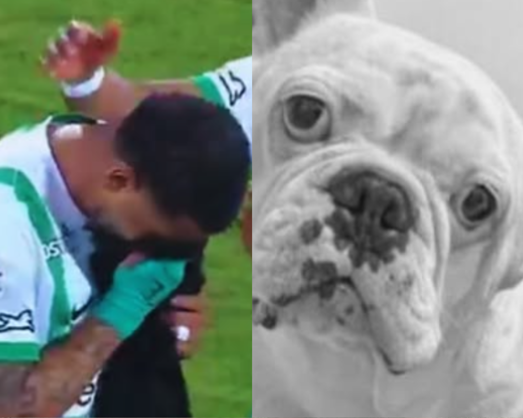 La historia de Chewin, el perro fallecido de Edwin Cardona por el que lloró en un partido