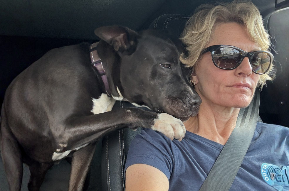 Este perro consuela a su rescatista luego de ser rechazado por una familia