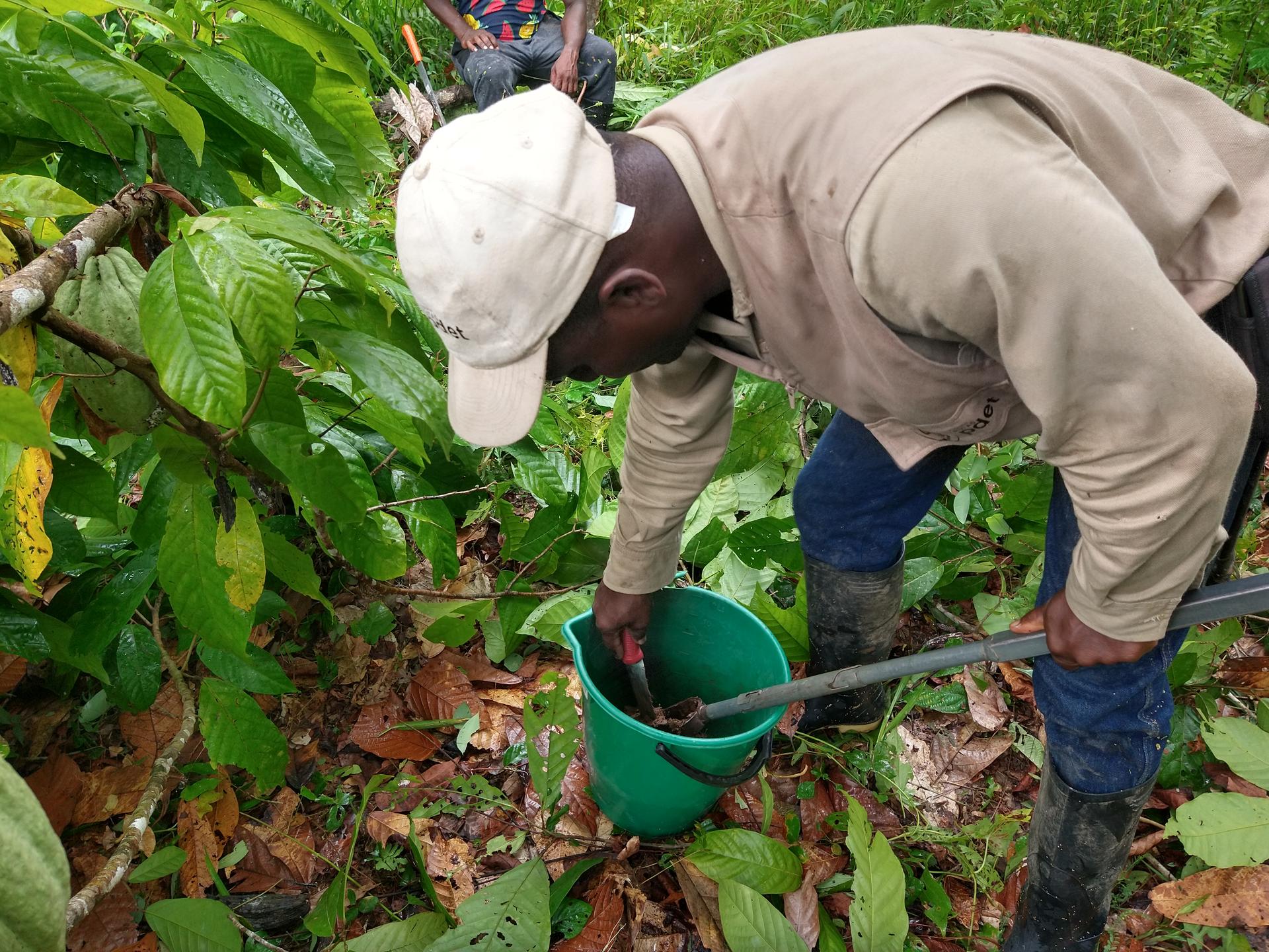 La investigación participativa y la co-innovación para las transiciones agrícolas