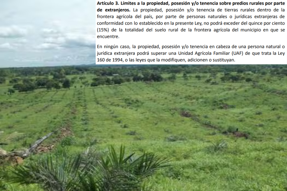 1,4 millones de hectáreas de tierras son de extranjeros: así buscan regular su compra