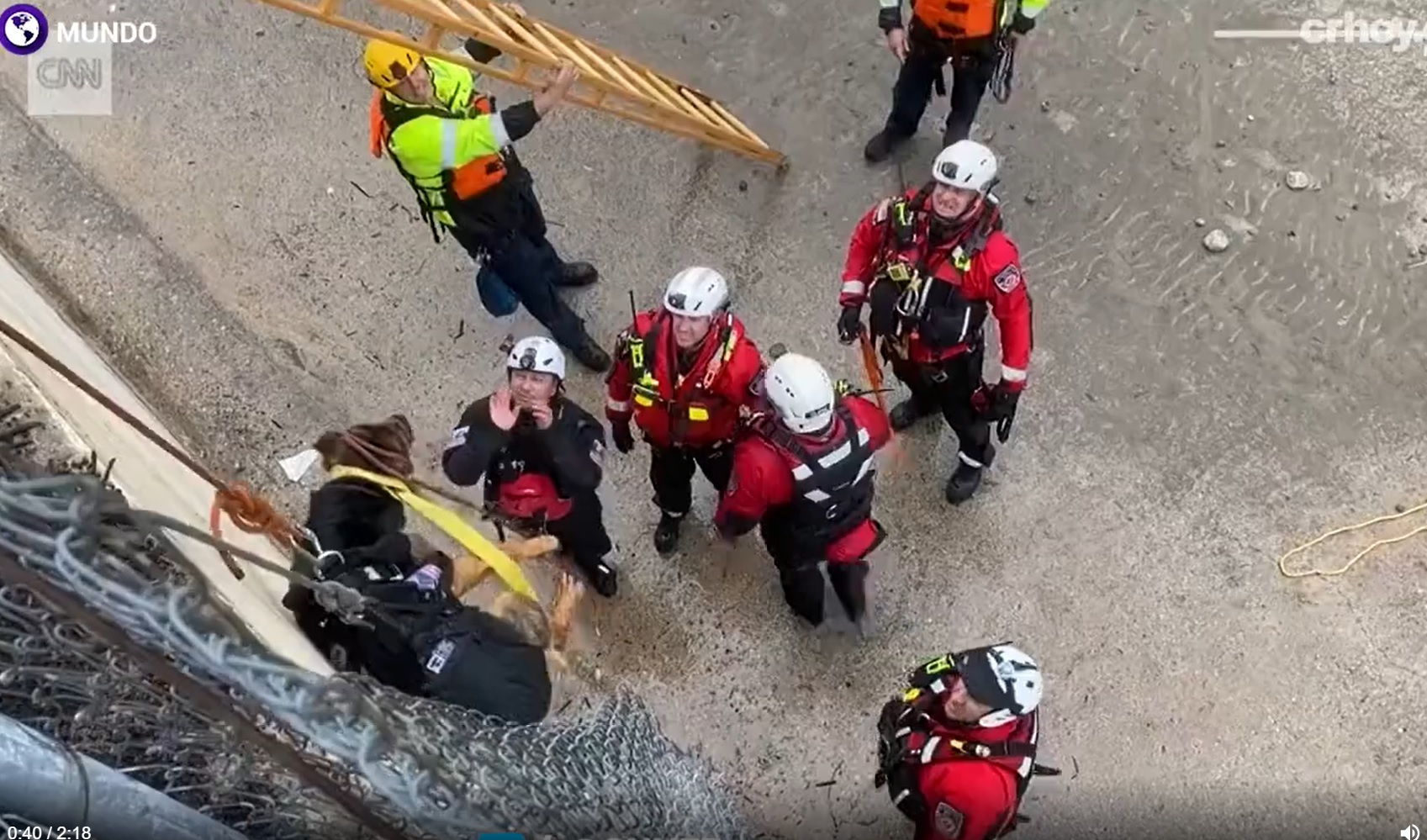 Los héroes sí existen: el angustiante rescate de un perro arrastrado por un río