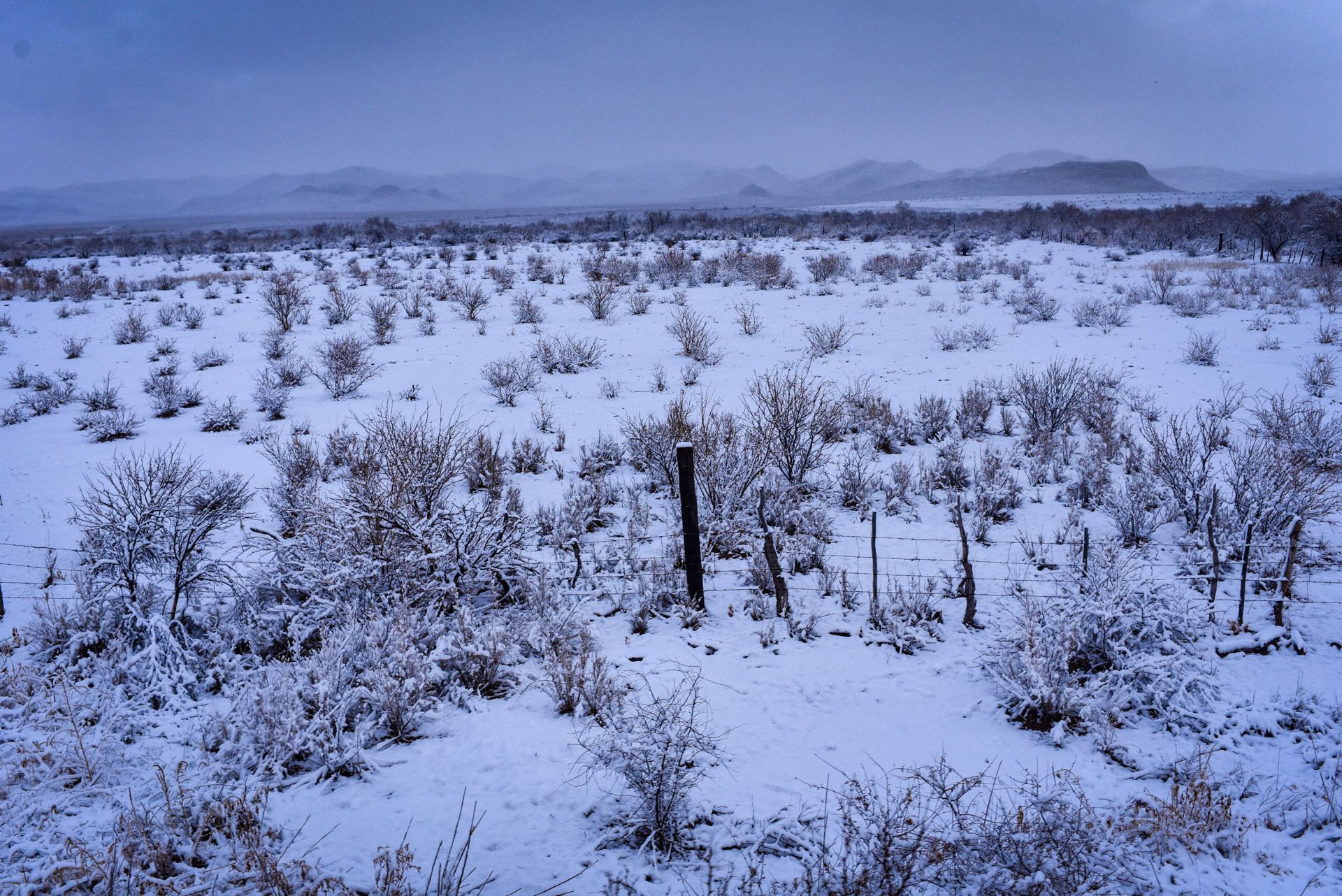 Los migrantes son recibidos por fuertes nevadas y bajas temperaturas que soportan durante su travesía en los vagones.