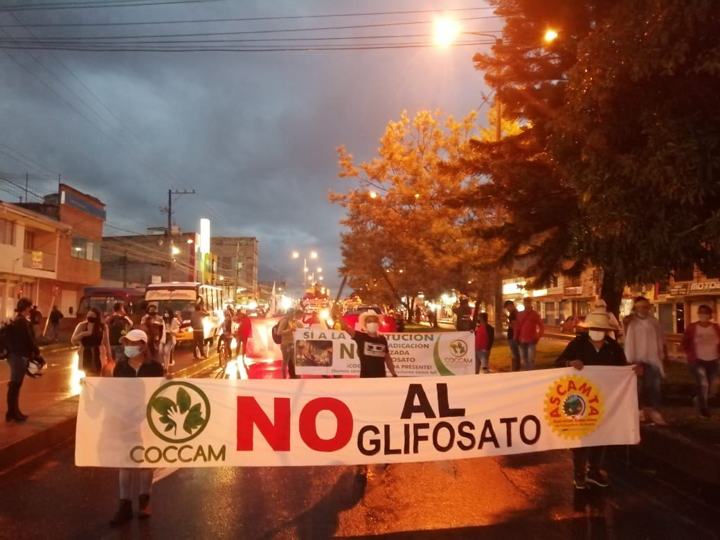 Los reclamos de los cocaleros, otra cara del paro nacional en el Cauca
