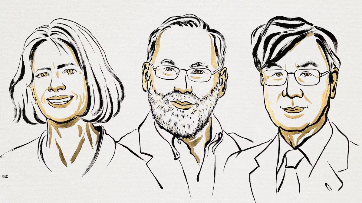 Nobel de Medicina 2025 a tres científicos por sus hallazgos sobre el sistema inmune