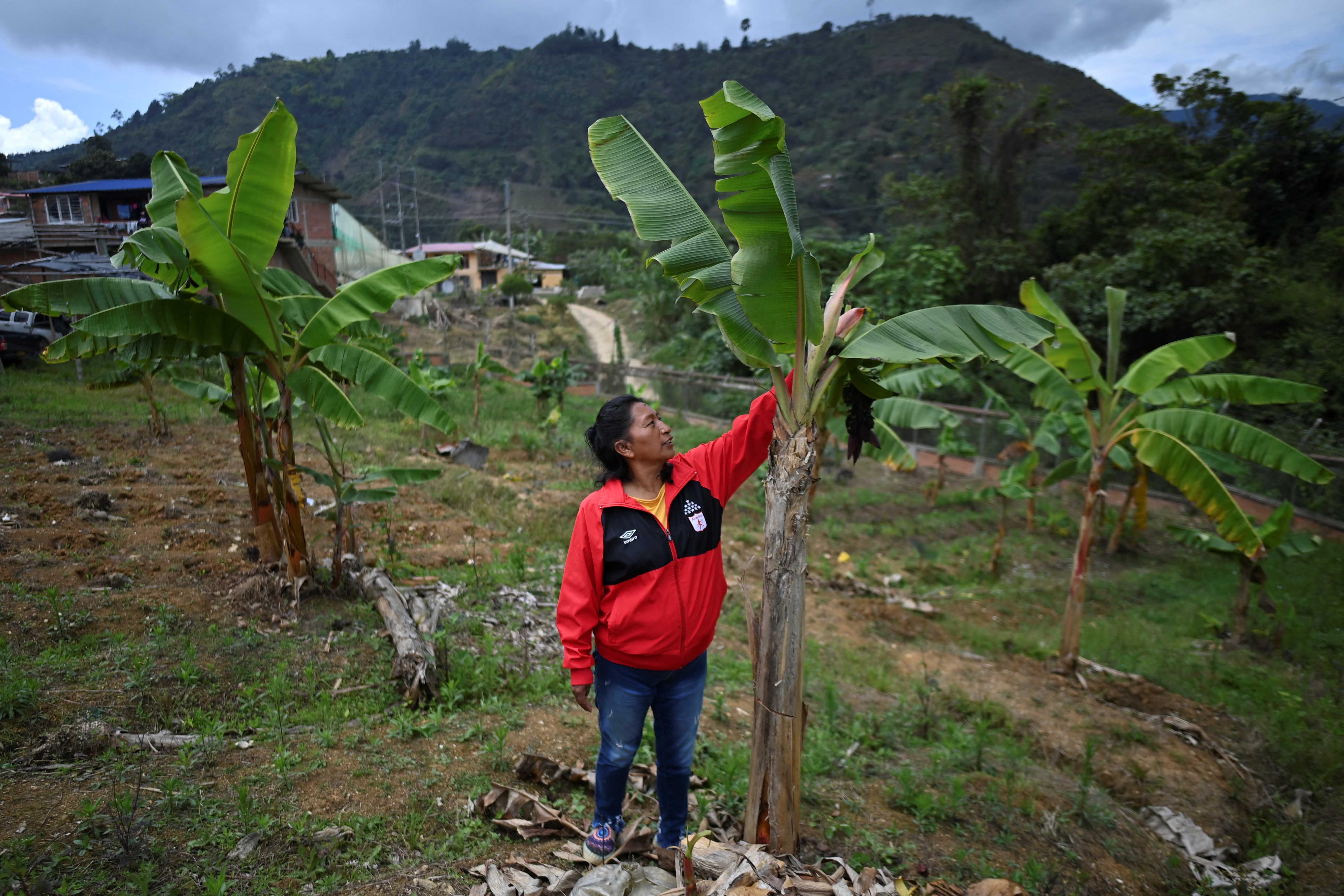 La lucha de una mujer indígena por defender el agua en el Cauca