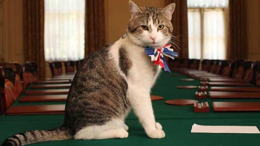 El gato Larry de Downing Street tiene un rival tras la llegada de los Starmer
