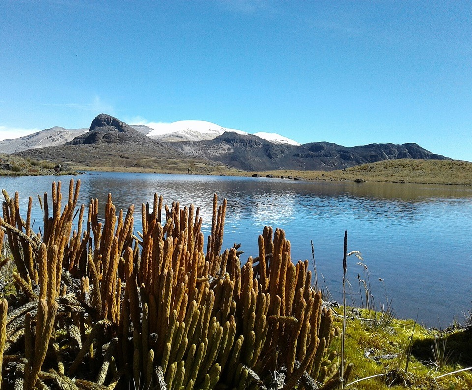 Parque Nacional Los Nevados tendrá cierre temporal: estas son las fechas