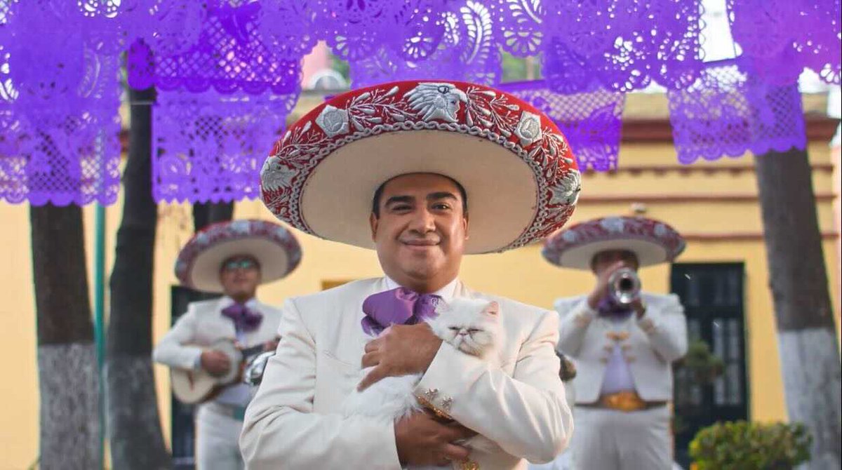 “Mariachis”, la serie que viaja entre la música y los recuerdos