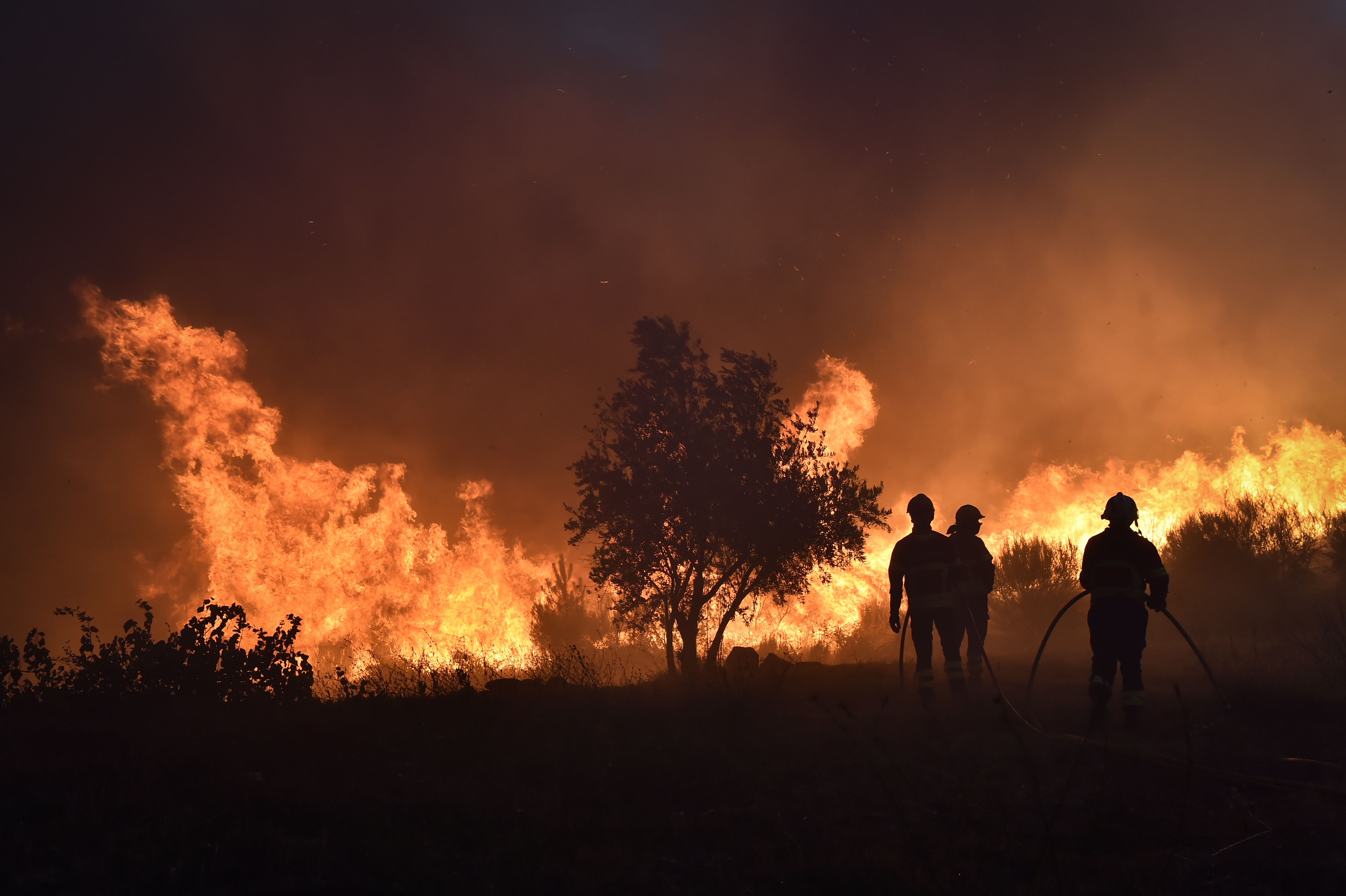Incendio en Portugal deja más de 24.000 hectáreas afectadas