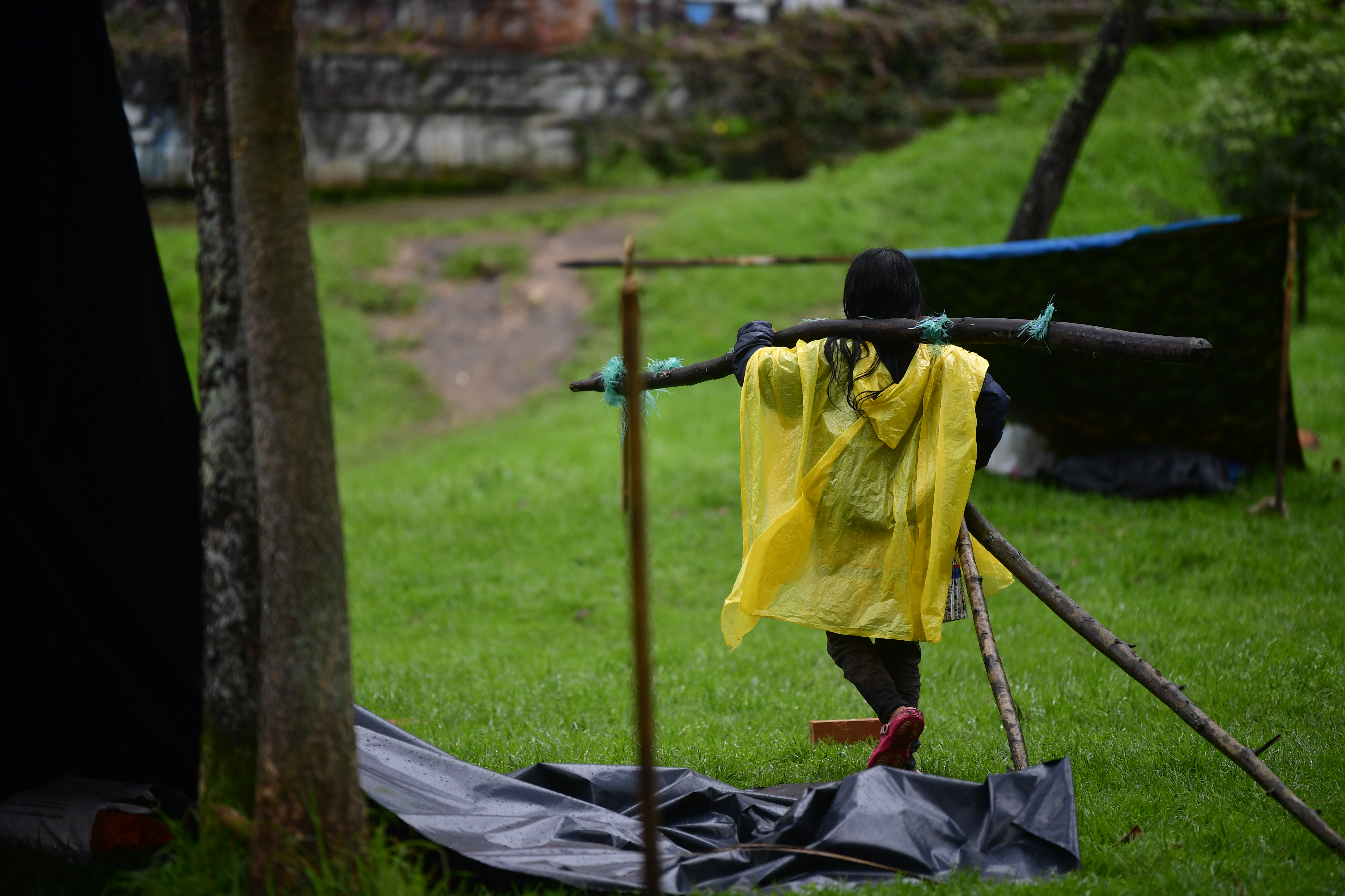 Denuncian que indígenas emberá estarían talando árboles en el Parque Nacional