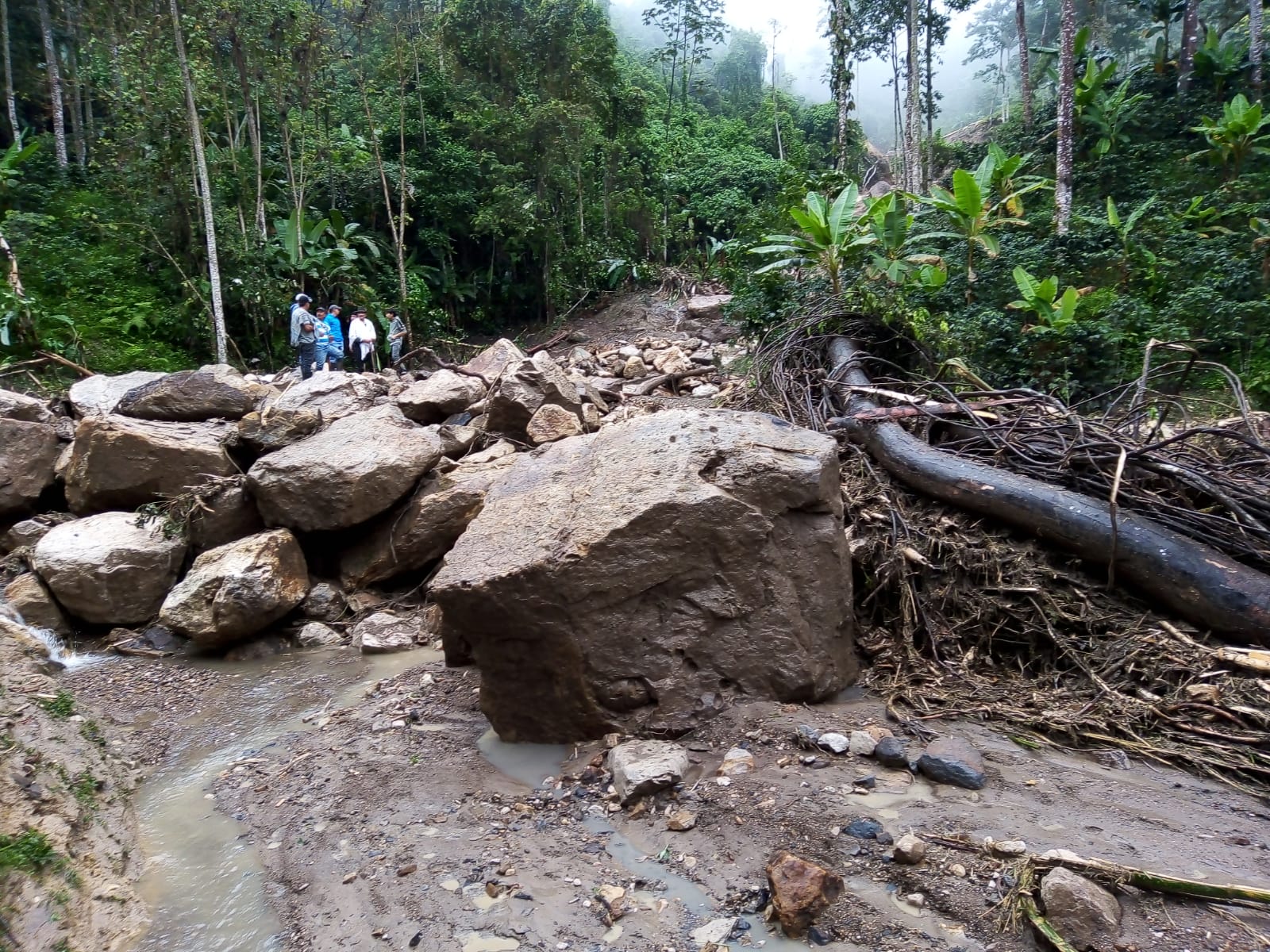 Avalancha dejó tres muertos y dos personas desaparecidas en Viotá, Cundinamarca