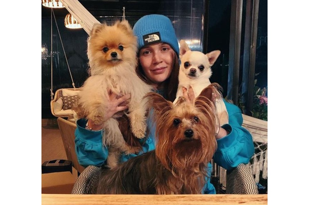 Las mascotas de Lina Tejeiro, Gregorio Pernía, Caterin Escobar y otros famosos