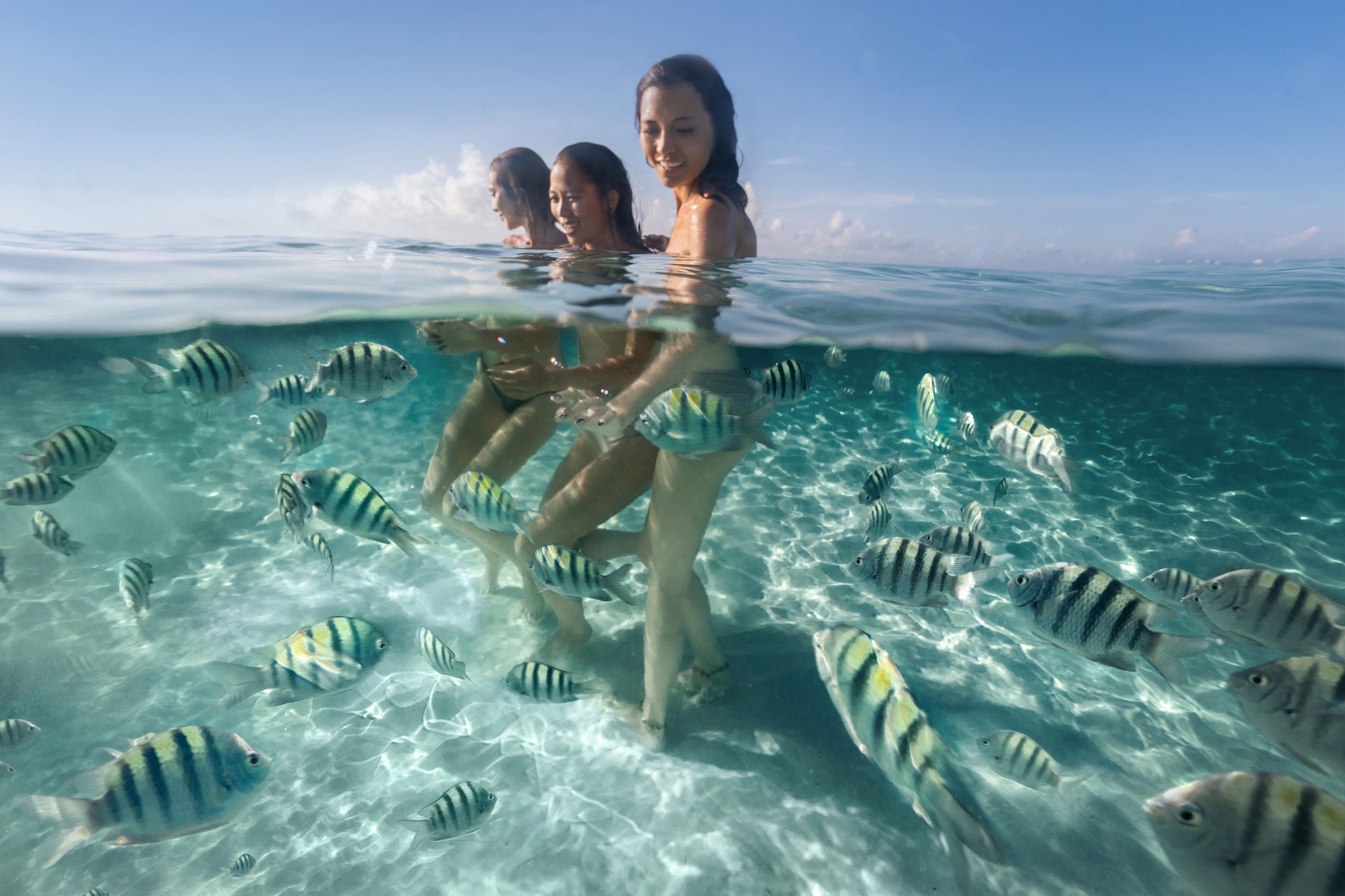 El resort se diseñó con la sostenibilidad en mente y se esfuerza por convertirse en una de las primeras propiedades del mundo con una verdadera neutralidad de carbono en 2021.