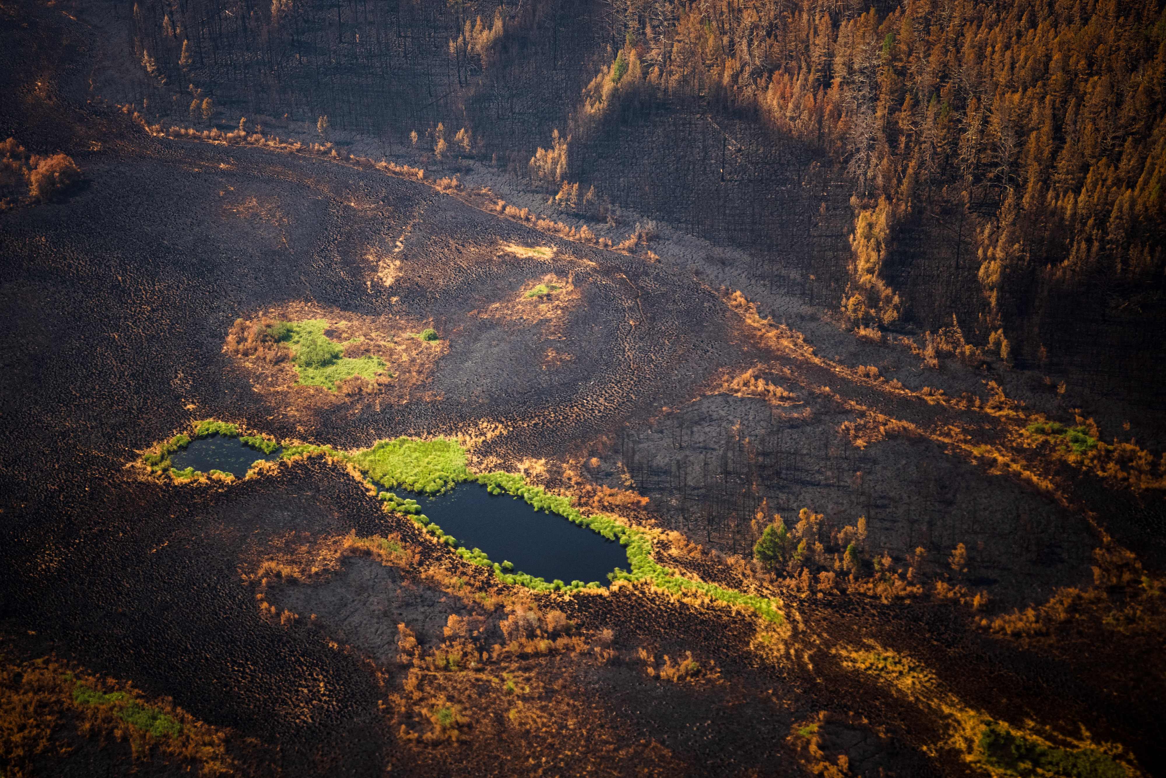 Los incendios forestales también consumen a Siberia
