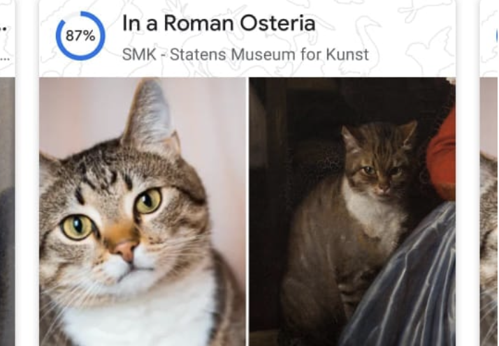 En el día del gato: encuentre la obra de arte más parecida a su mascota