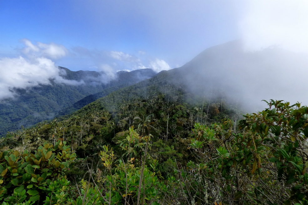 Alerta por desplazamiento masivo en la Sierra Nevada de Santa Marta