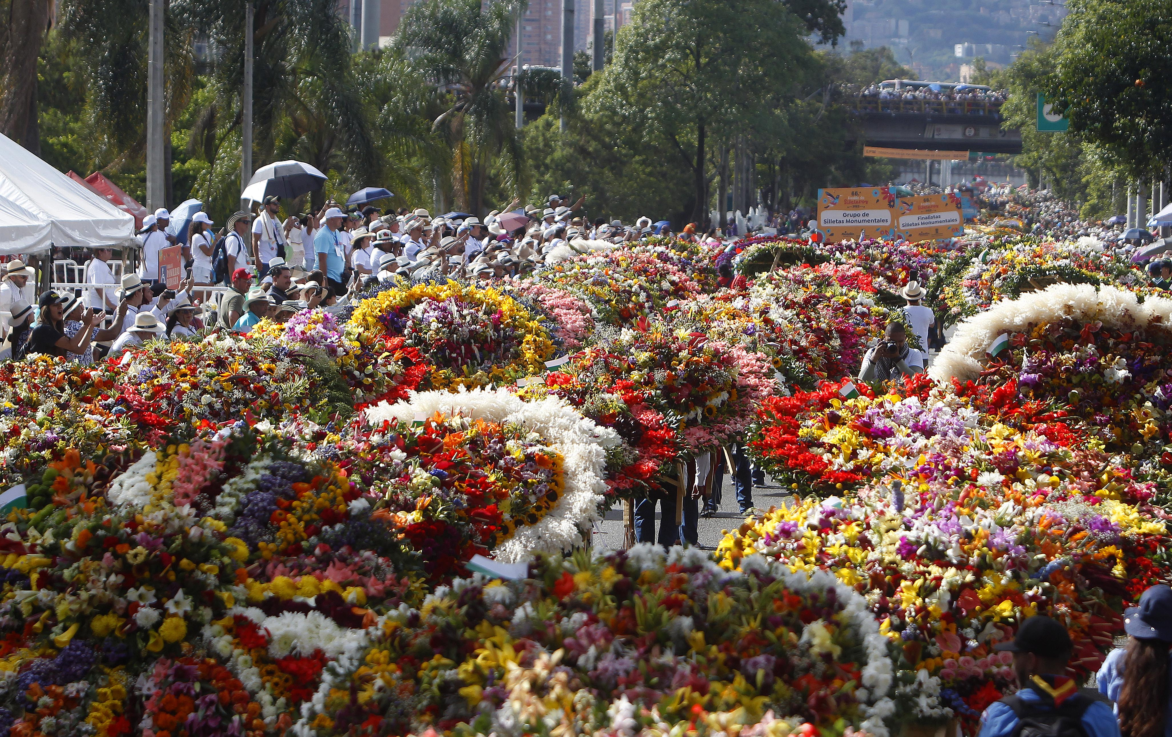 Recorrido del Desfile de Silleteros 2025: horarios y cierres viales