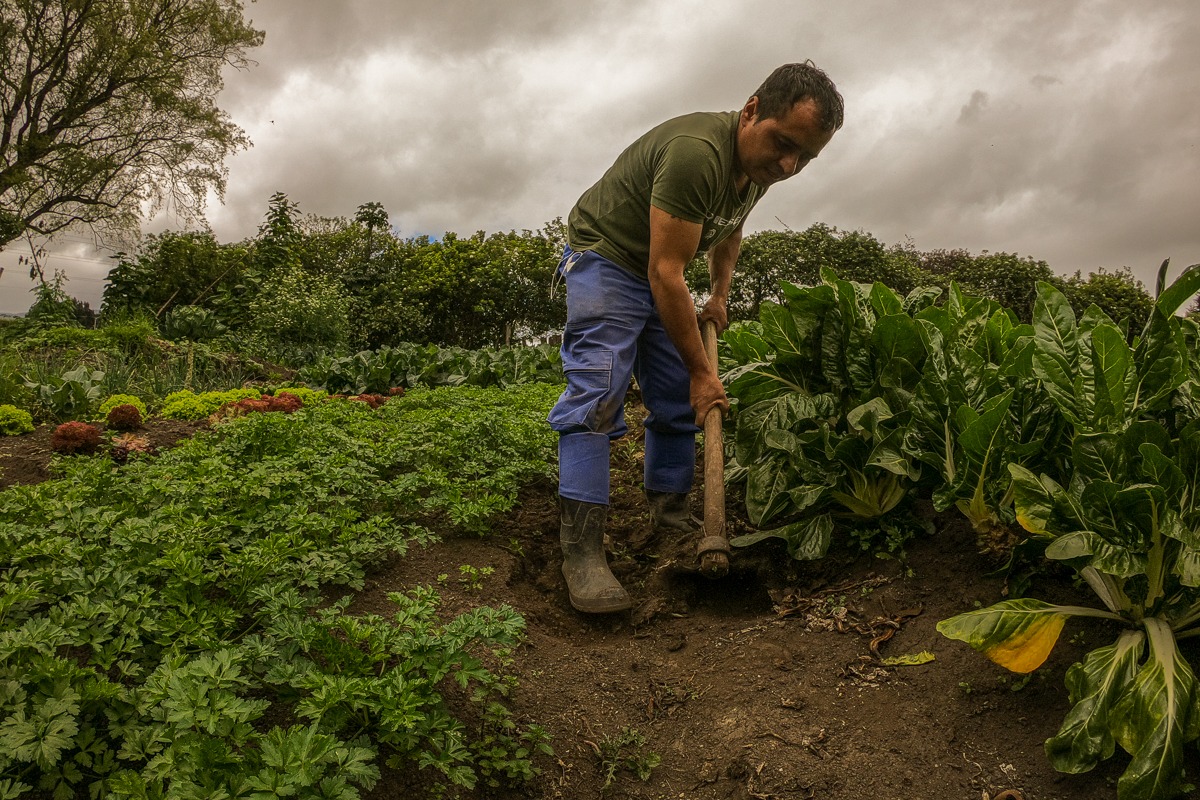 La RAP-E suscribió un convenio con la FAO para trabajar por el agro en la región central