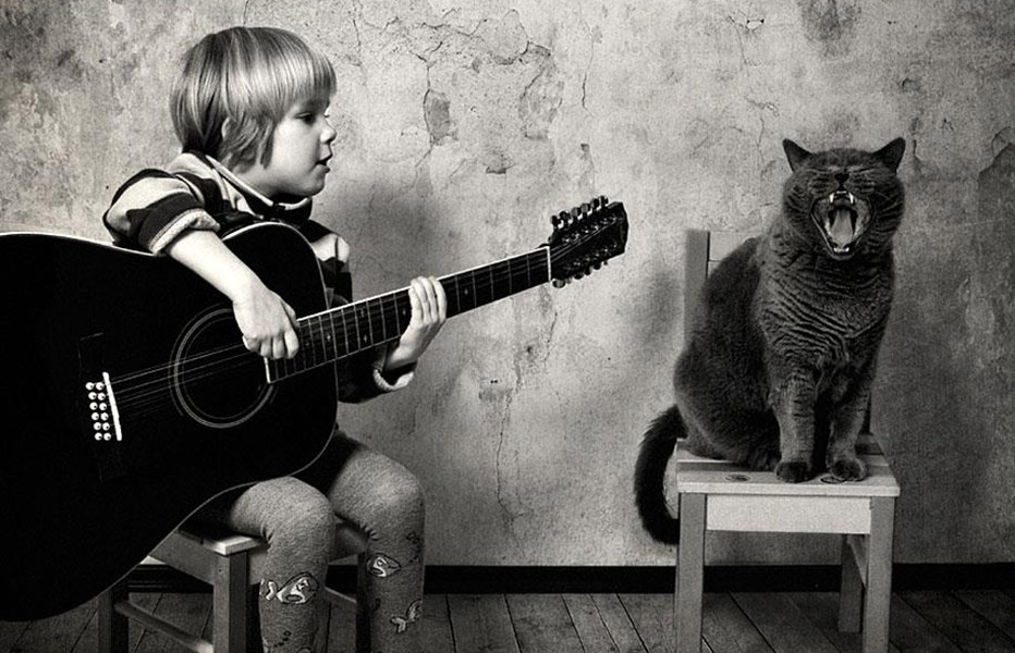 Las fotos más artísticas entre una niña y su gato