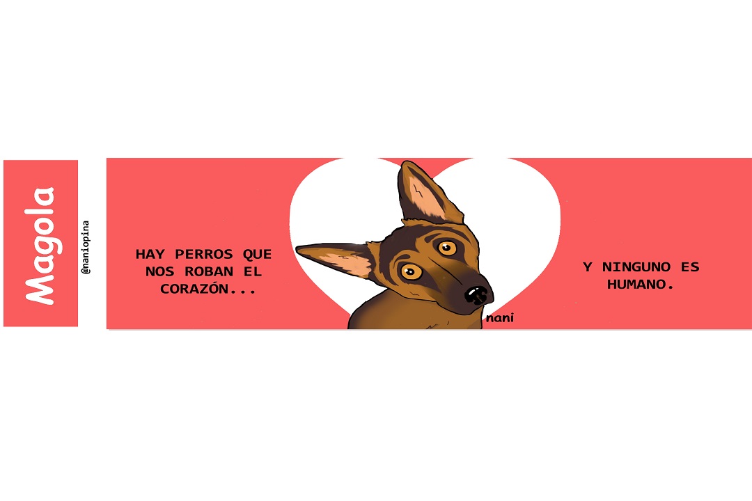 Perros