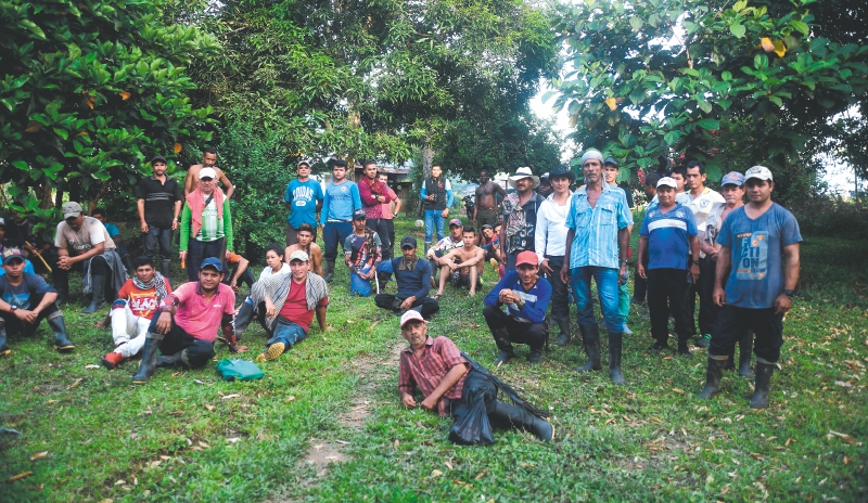 Guayabero: así se vive la crisis humanitaria por la erradicación de coca