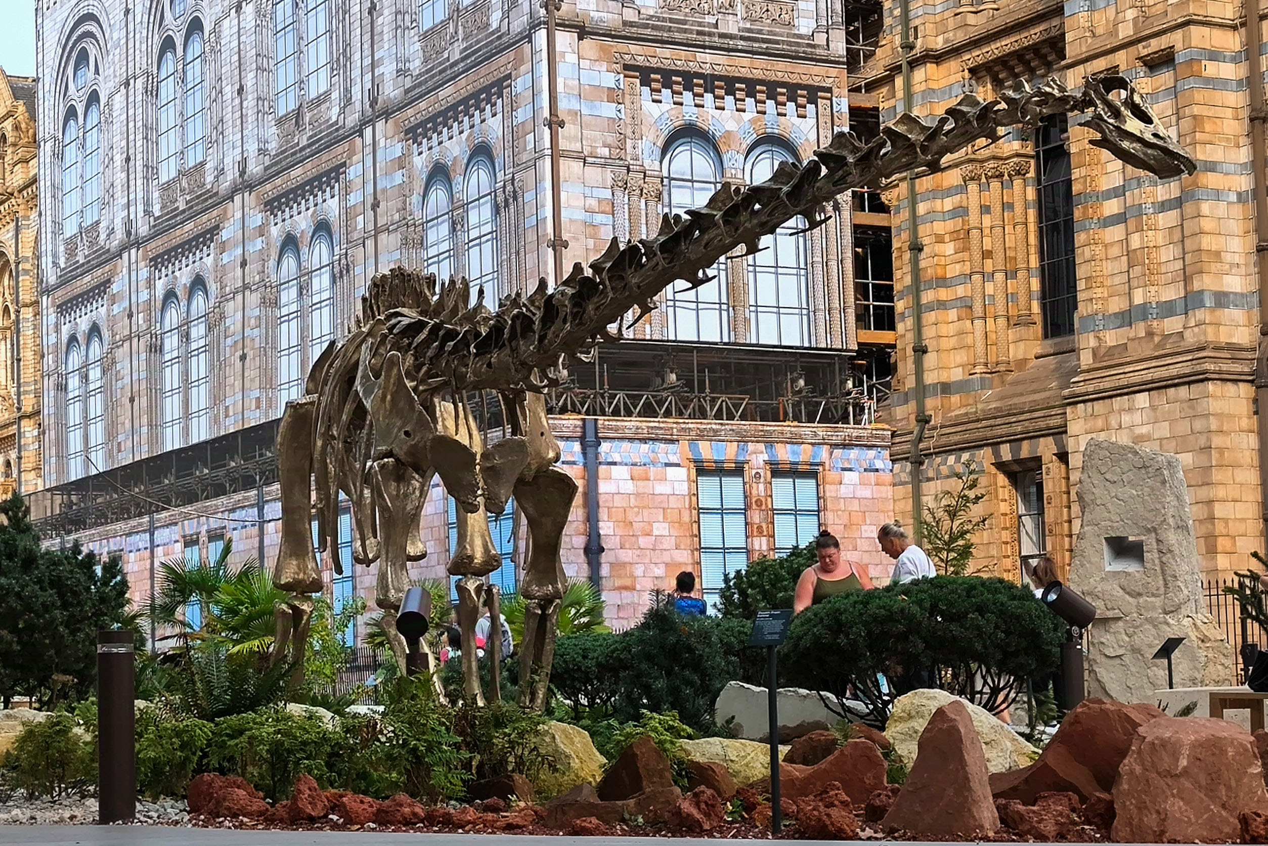 ¿Le fascinan los dinosaurios? Estas experiencias lo llevarán directo a su mundo