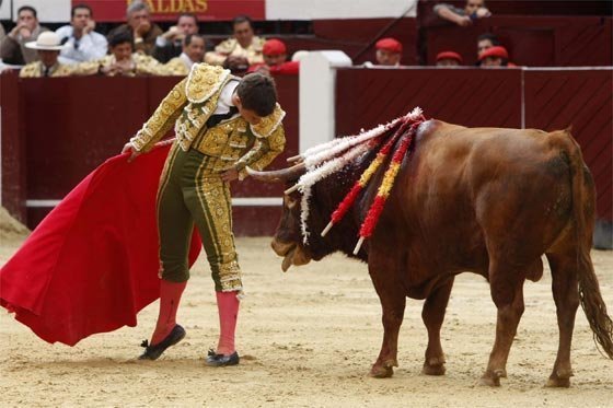 Ministerio de Hacienda pone en duda que deba financiar consulta antitaurina